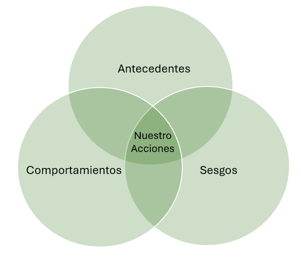 Diagrama de Venn de las 3 Bs